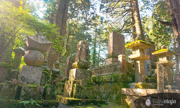 Koya San sunshine, graveyard, Japan, sacred place in Japan
