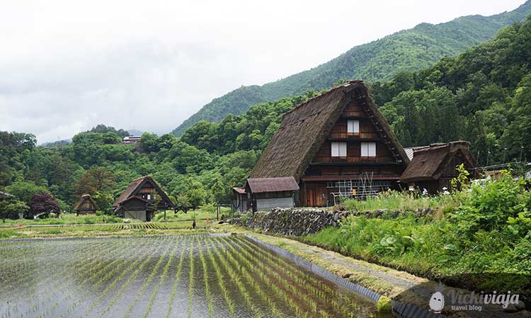 shirakawago tagesausflug von kanazawa