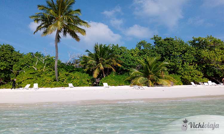 Strand Malediven I Indischer Ozen