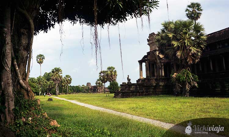 Angkor Wat I Siem Reap I Kanbodscha 