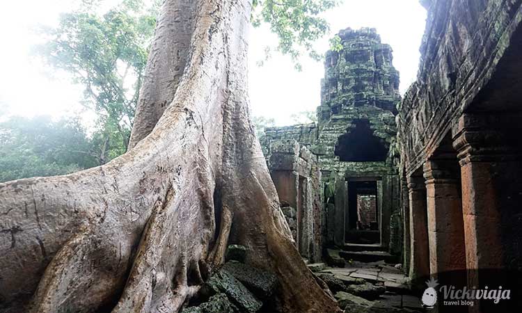 Banteay Kdei I Angkor I Siem Reap I Kambodscha