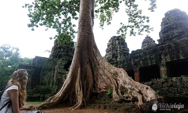Banteay Kdei I Angkor I Siem Reap I Cambodia