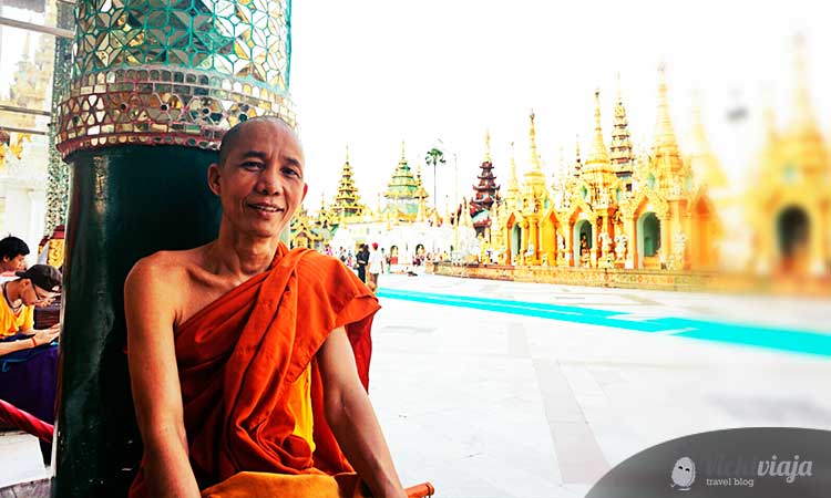 monk I Yangon I Shwegadon I Pagoda I Myanmar I vickiviaja
