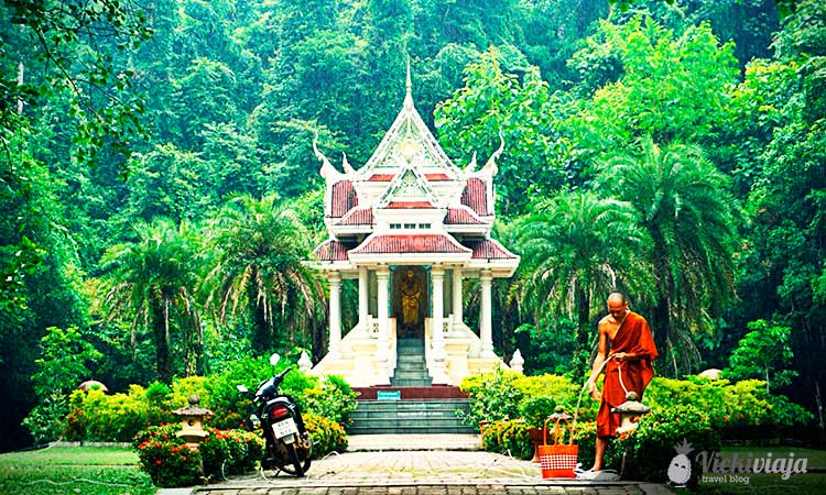 Chiang dao Accommodation I Monk I Temple I Nature 