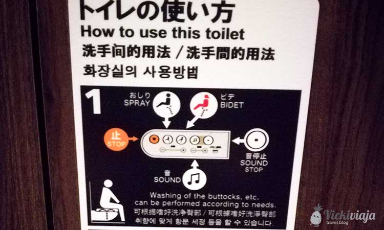 Comprensión de los inodoros japoneses, Cómo funciona un inodoro japonés, Japón