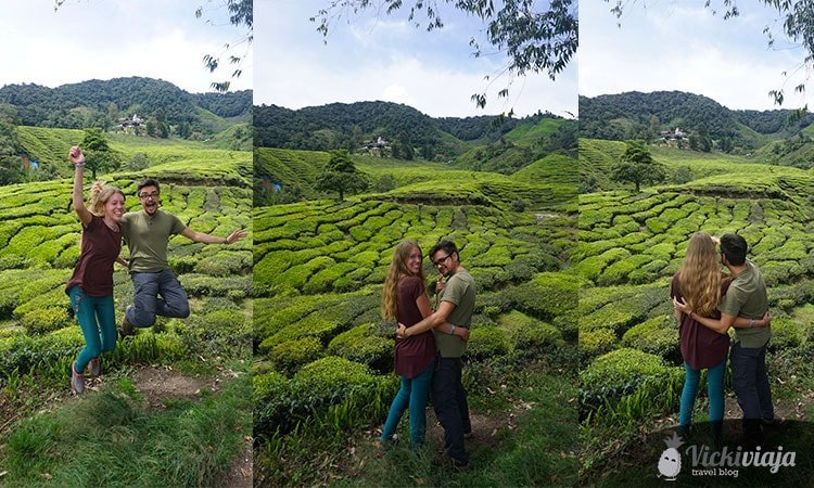 Couple pictures in the cameron highlands malaysia tea plantations
