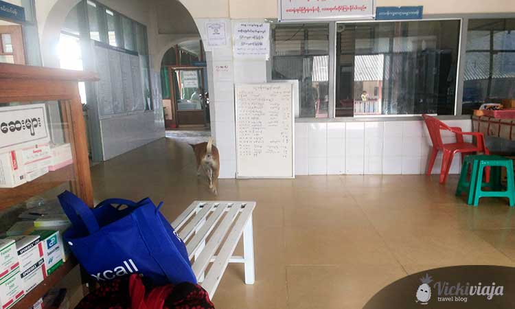 view into waiting room of public hospital in Myanmar I street dog running around
