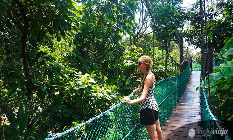 eco forest, Kuala Lumpur, jungle, girl, bridge