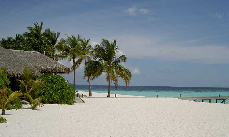 Mirhi Resort, Maldives, Beach, Palm trees
