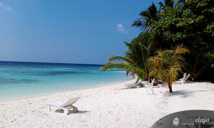 bandos maldives, Island, Beach