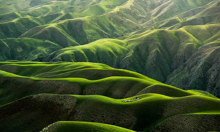 Chinese landscape, green