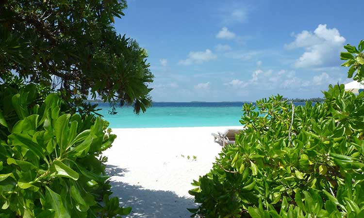 laamu six senes beach maldives