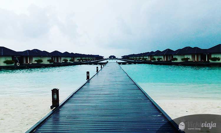 paradise island, Maldives, beach, bridge