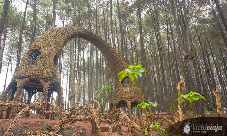Pinus Pengger, Attractions in Yogyakarta
