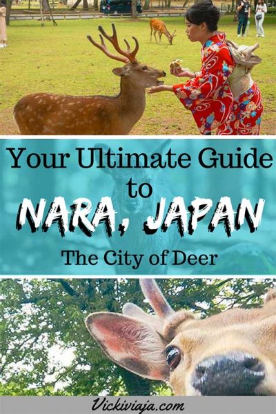 Nara guide city of deer