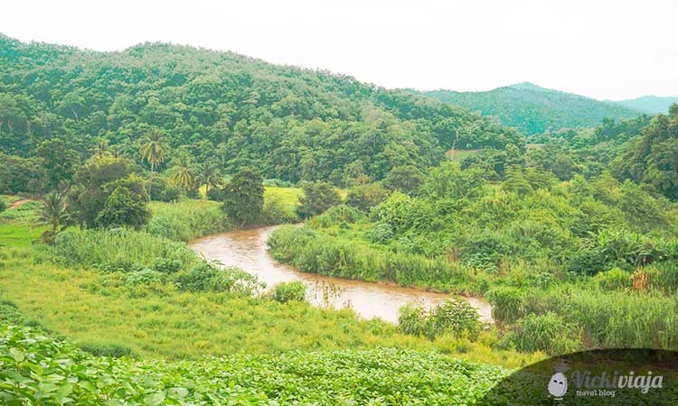Pai, river, nature, green, Things to see in Pai