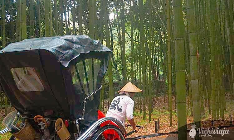 Sagano-Arashiyama, Bamboo Garden, Kyoto, Transport