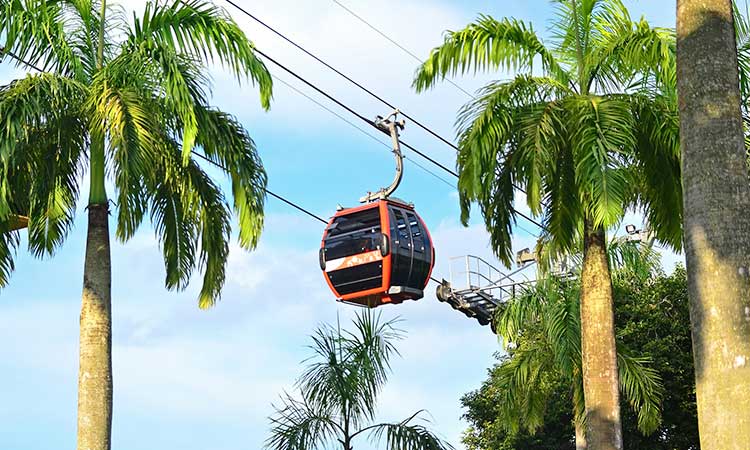 Sentosa Island, cable car and palm trees