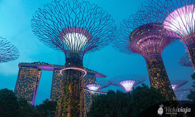 Gardens by the Bay, Singapore, Super Trees, Super Groove