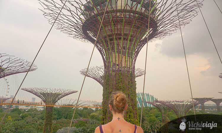 Gardens by the Bay, Super Trees, Skywalk, Singapore highlights