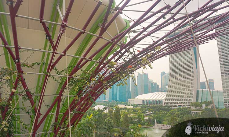 Zoomed into the Singapore super trees, marina sands in the background