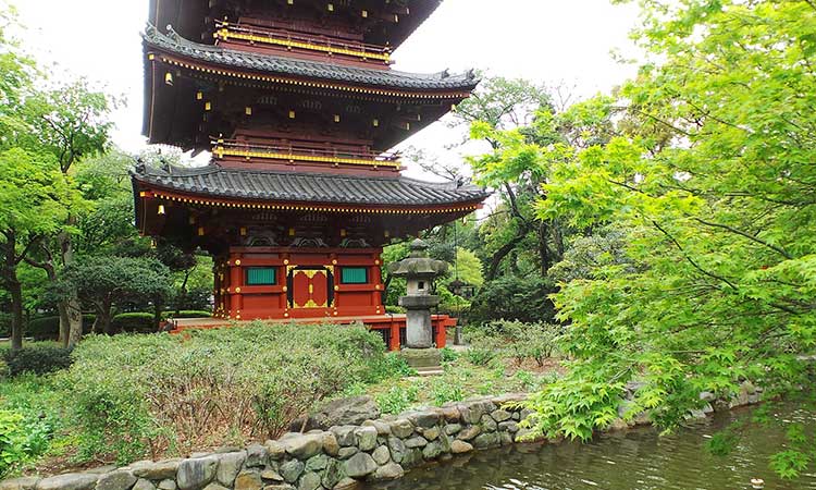 Ueno Neighborhood, Ueno Park, Green, Japanese Temple