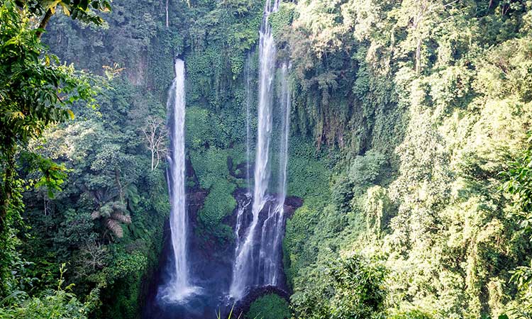 Sekumpul Wasserfall, Natur in Bali, Reiseroute