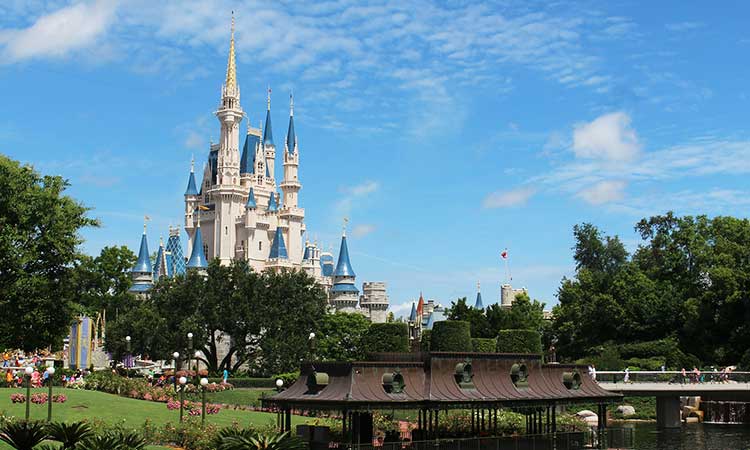 Disneyworld, Orlando, Florida, Disney Castle