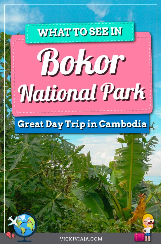 Bokor National park Pin