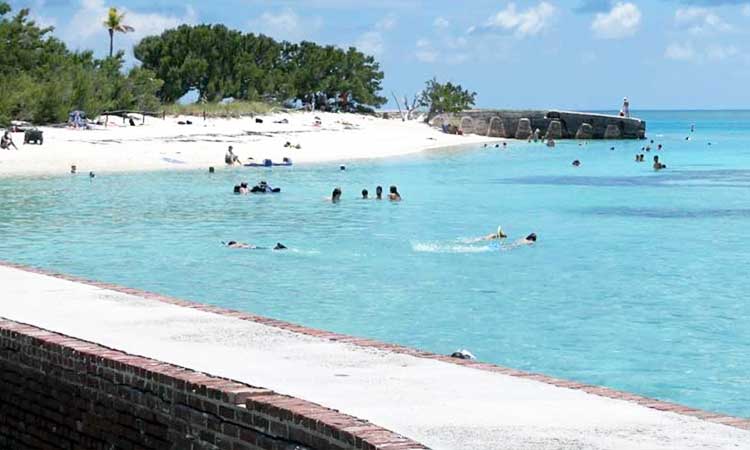 Dry Tortugas National Park, Florida Strand