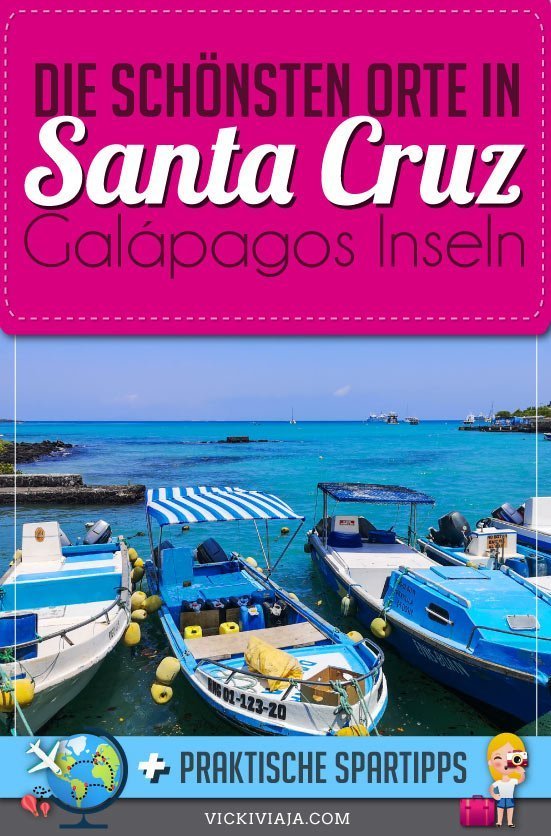 Santa Cruz Galapagos Pin