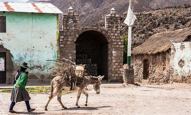 Andagua Vulcano Village, Arequipa, woman with donkey